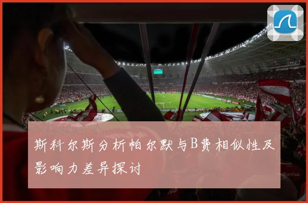 斯科尔斯分析帕尔默与B费相似性及影响力差异探讨